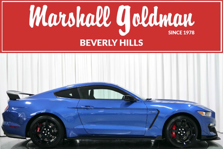 Used 2019 Ford Mustang Shelby GT350R For Sale (Sold)